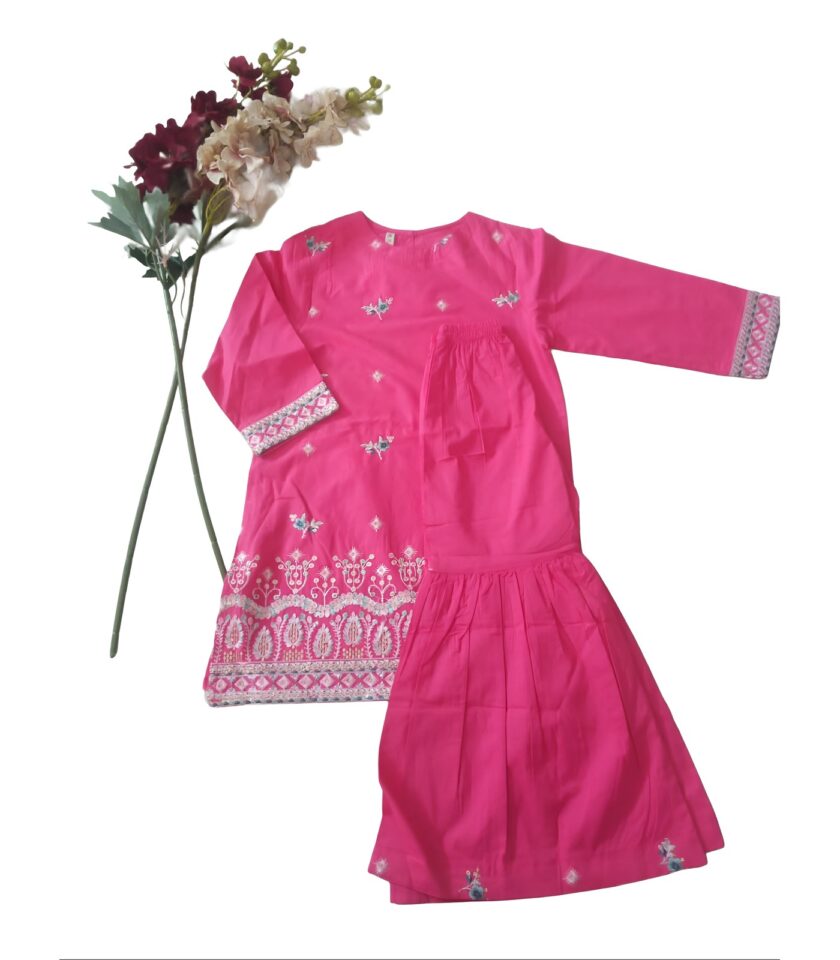 Rose Blush – Elegant Embroidered Suit