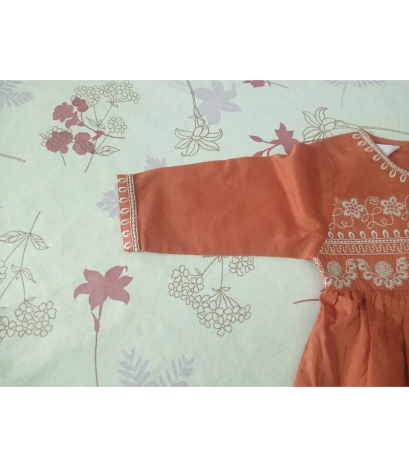 Girls' Rust Orange Embroidered Frock - Image 4