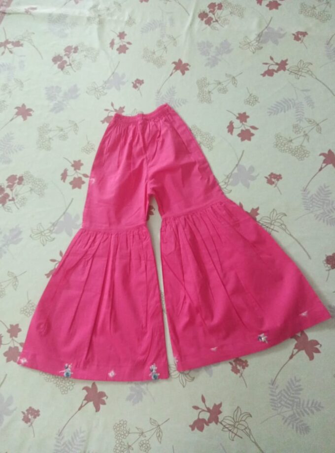 Rose Blush – Elegant Embroidered Suit