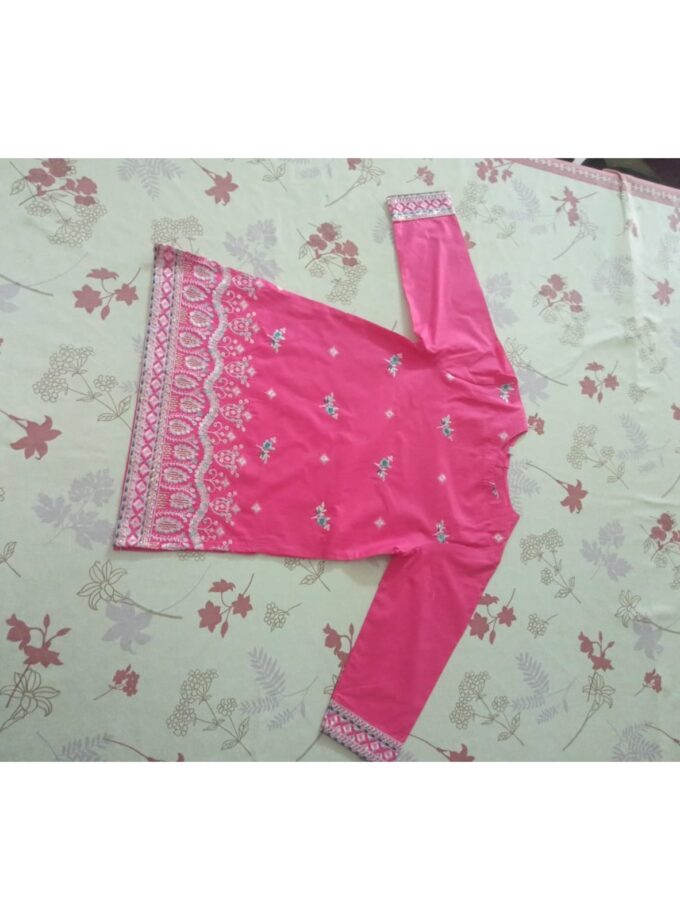 Rose Blush – Elegant Embroidered Suit